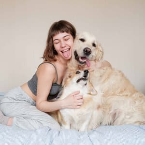 Inspired Bgm for Instrumental Dog Hours - Dog Music Hour