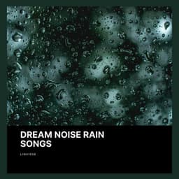 Dream Noise Rain Songs - Liquidge