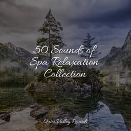 50 Sounds of Spa Relaxation Collection - Yoga Namaste
