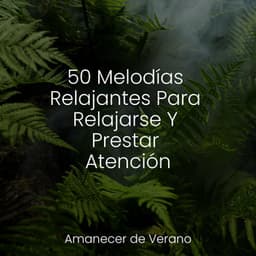 50 Melodías Relajantes Para Relajarse Y Prestar Atención - Masajes Spas