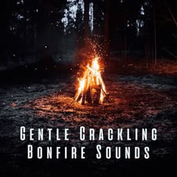Gentle Crackling Bonfire Sounds - Best Nature Sounds