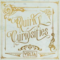 Quirky Curiosities - Paul Reeves