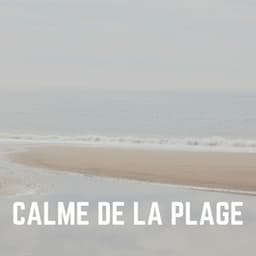Calme de LA Plage - Vagues Dans La Mer
