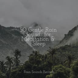 50 Gentle Rain Sounds for Meditation & Sleep - Pro Sound Effects Library