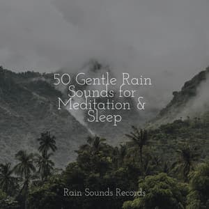 50 Gentle Rain Sounds for Meditation & Sleep - Pro Sound Effects Library