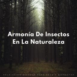 Armonía De Insectos En La Naturaleza: Relajación Dichosa Para Yoga Y Bienestar - Televisión de la naturaleza