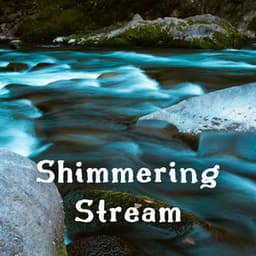 Shimmering Stream - Relaxing Water Sounds