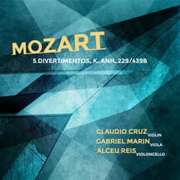 Mozart: 5 Divertimentos, K. Anh. 299/439b - Wolfgang Amadeus Mozart