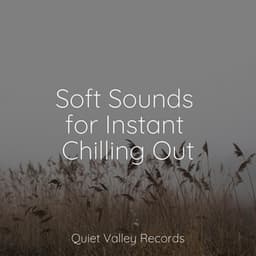 Soft Sounds for Instant Chilling Out - Pro Sound Effects Library