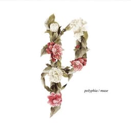 Muse - Polyphia