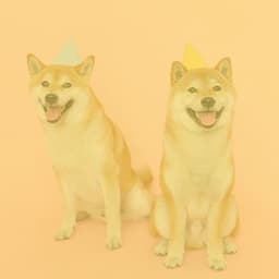 Guitar Chill Out - Background for Time With Pups - Dog Relax