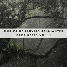 Música De Lluvias Relajantes Para Bebés Vol. 1 - Sonidos De Lluvia