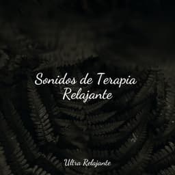 Sonidos de Terapia Relajante - Naturaleza Relajacion