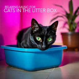 Relaxing Music for Cats in the Litter Box - Cats Music Zone