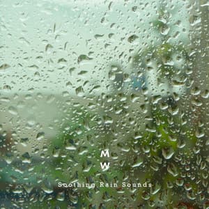 Soothing Rain Sounds - Memory of Water