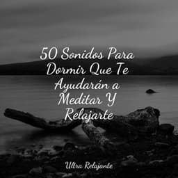 50 Sonidos Para Dormir Que Te Ayudarán a Meditar Y Relajarte - Meditación