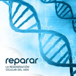 Reparar la Regeneración Celular del ADN: Meditación Profunda de los 7 Chakras - Colección de tonos Solfeggio
