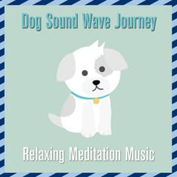 Dog Sound Wave Journey: Relaxing Meditation Music - Relaxmydog