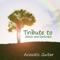 Acoustic Guitar: Tribute to Simon and Garfunkel - Acoustic Guitar Tribute Players