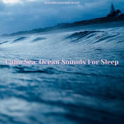 Calm Sea: Ocean Sounds For Sleep - Ocean Sounds