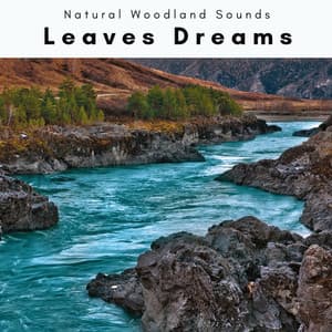 3 2 1 Leaves Dreams - Natural Woodland Sounds