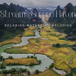 Stream's Serene Haven: Relaxing Waterside Melodies - Rivulet