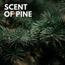 Scent of Pine - Tranquility Spa Universe