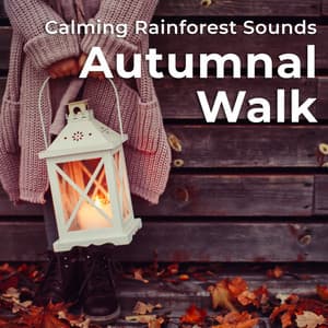 Autumnal Walk - Calming Rainforest Sounds
