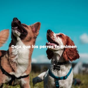 Deja que los perros te animen - Jazzy Studying Music