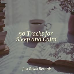 50 Tracks for Sleep and Calm - Sleep Music Lullabies