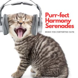 Purr-fect Harmony Serenades: Music For Contented Cats - Happy Afternoon Music
