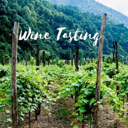 Wine Tasting - Granular