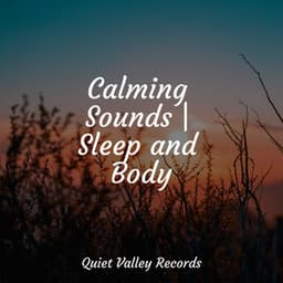 Calming Sounds | Sleep and Body - Sonido de lluvia