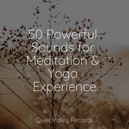 50 Powerful Sounds for Meditation & Yoga Experience - Musica Relajante