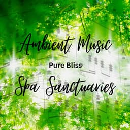 Ambient Music Spa Sanctuaries: Pure Bliss - Cosmic Space Traveler