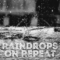 Raindrops on Repeat - Spa Music Lounge