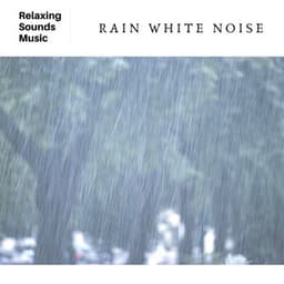 Rain White Noise - Snuggly