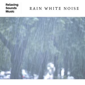 Rain White Noise - Snuggly