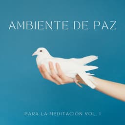 Ambiente De Paz Para La Meditación Vol. 1 - Musica Para Dormir
