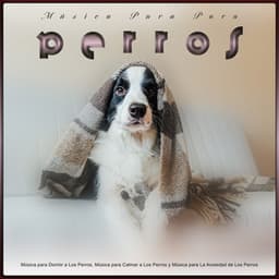 Música Pura Para Perros: Música para Dormir a Los Perros, Música para Calmar a Los Perros y Música para La Ansiedad de Los Perros - Música Pura Para Perros