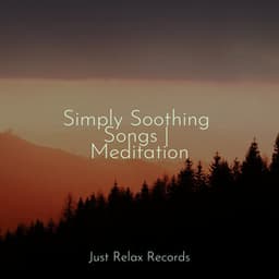 Simply Soothing Songs | Meditation - Mantra para Dormir