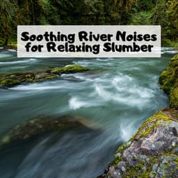 Soothing River Noises for Relaxing Slumber - River Sound Therapy