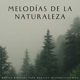 Melodías De La Naturaleza: Música Binaural Para Masajes Reconstituyentes - The Unexplainable Store