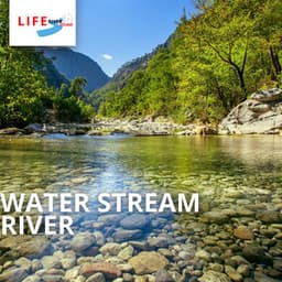 Water Stream River - Life River Sound