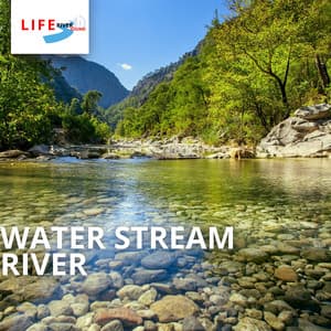 Water Stream River - Life River Sound