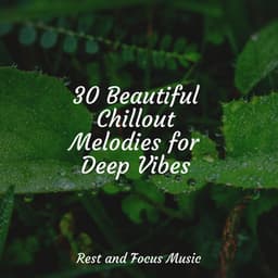 30 Beautiful Chillout Melodies for Deep Vibes - Bath Spa Relaxing Music Zone