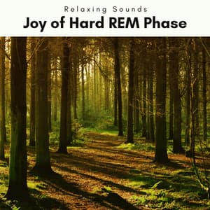 A Joy of Hard REM Phase - Nano Sounds