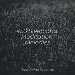 #50 Sleep and Meditation Melodies - Binaural Beats Brainwave Entrainment