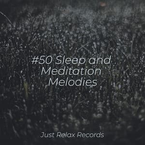 #50 Sleep and Meditation Melodies - Binaural Beats Brainwave Entrainment