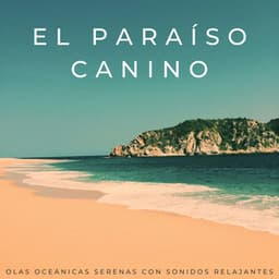 El Paraíso Canino: Olas Oceánicas Serenas Con Sonidos Relajantes - Algo de Música